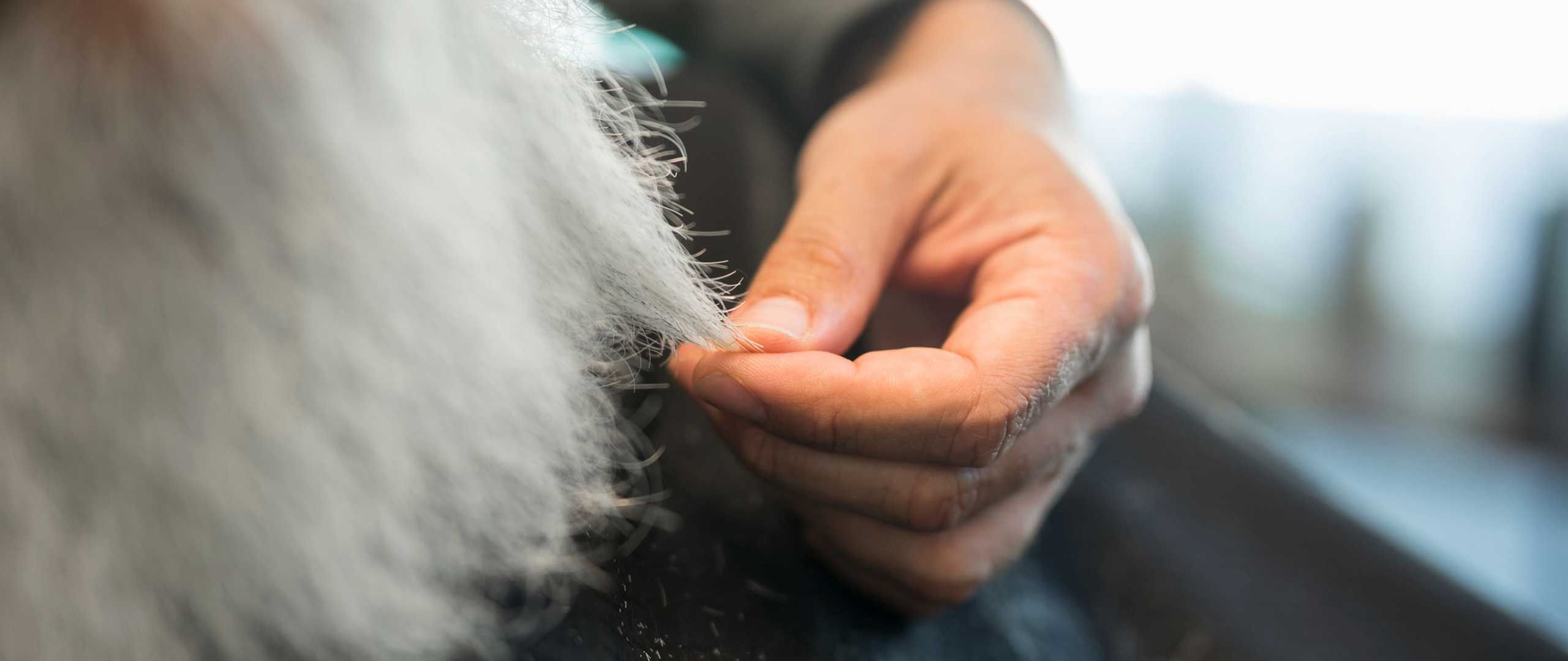 Fur processing